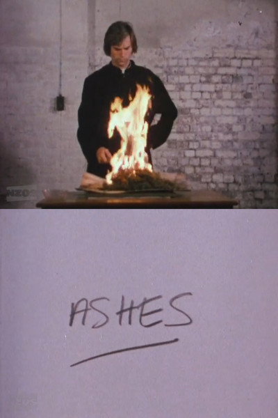 Póster de Ashes