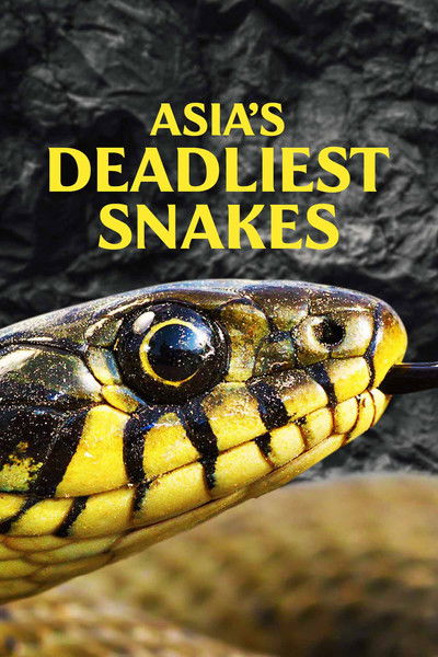 Póster de Asia's Deadliest Snakes