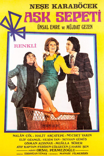 Póster de Ask Sepeti
