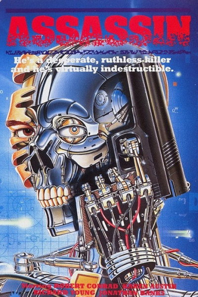 Póster de Assassin
