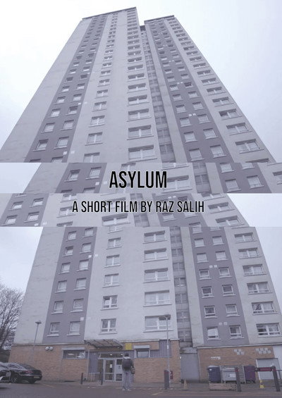 Póster de Asylum