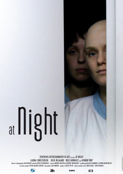 Póster de At Night