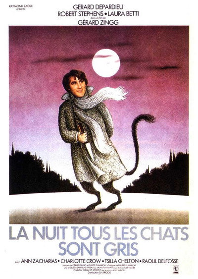 Póster de At Night All Cats Are Crazy