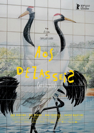 Póster de At Sixteen