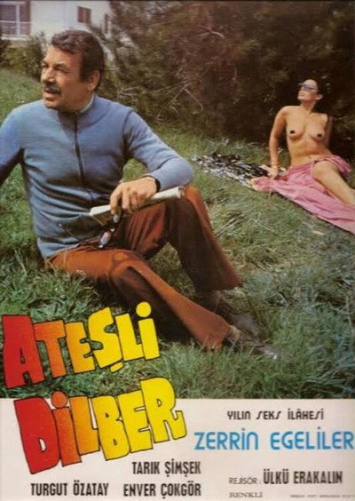 Póster de Atesli Dilber
