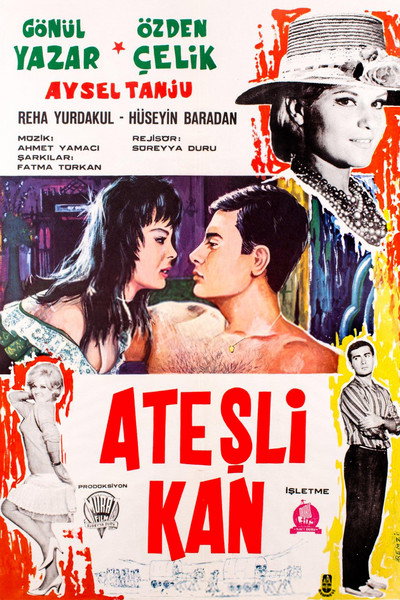 Póster de Atesli kan