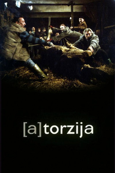 Póster de (A)Torzija