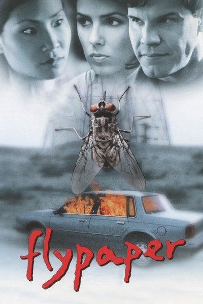 Póster de Atraco por duplicado