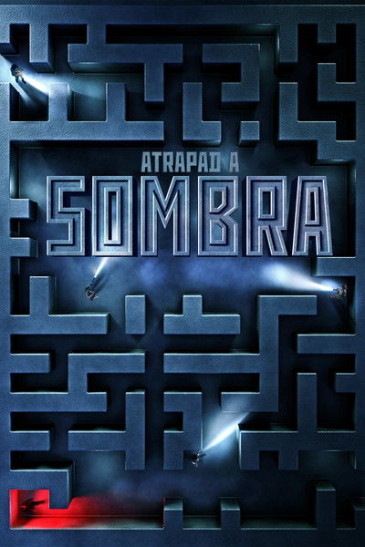 Póster de Atrapad a Sombra