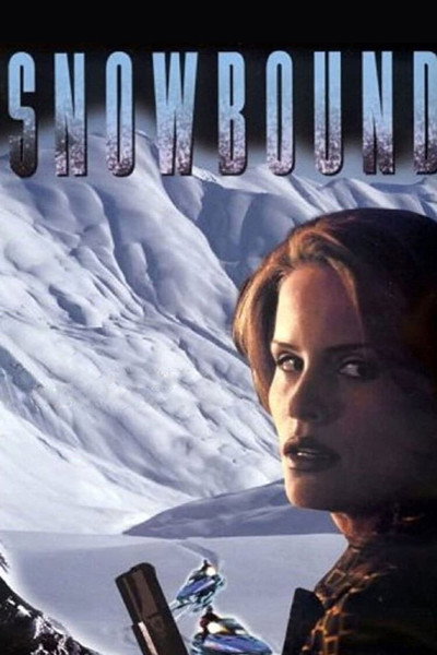 Póster de Atrapadas en la nieve