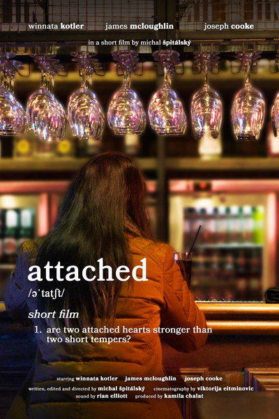 Póster de Attached
