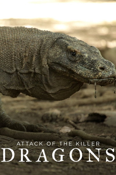 Póster de Attack of the Killer Dragons