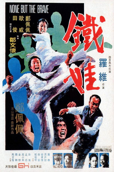 Póster de Attack of the Kung Fu Girls
