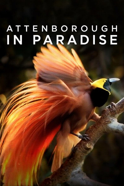 Póster de Attenborough in Paradise