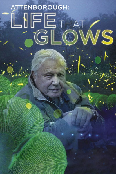 Póster de Attenborough's Life That Glows