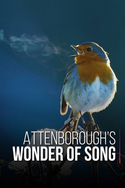 Póster de Attenborough's Wonder of Song
