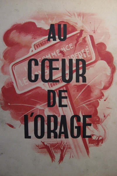 Póster de Au coeur de l'orage