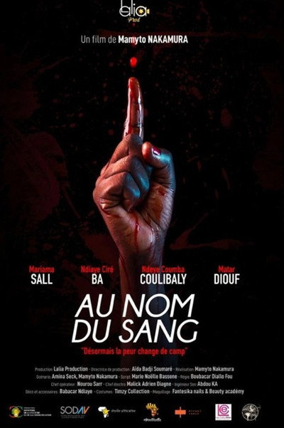Póster de Au nom du sang
