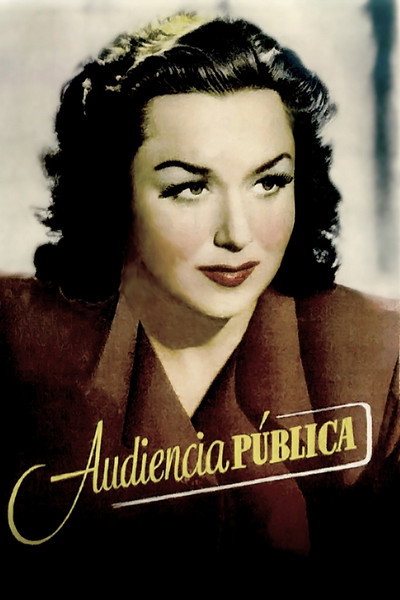 Póster de Audiencia pública