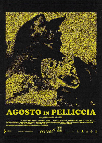 Póster de August in Fur