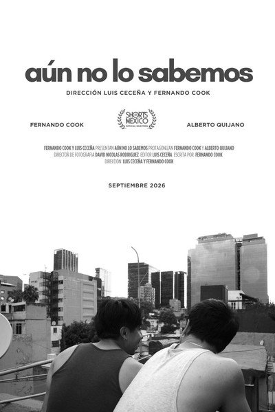 Póster de Aún no lo sabemos