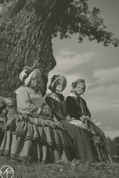 Póster de Aunt Green, Aunt Brown and Aunt Lilac