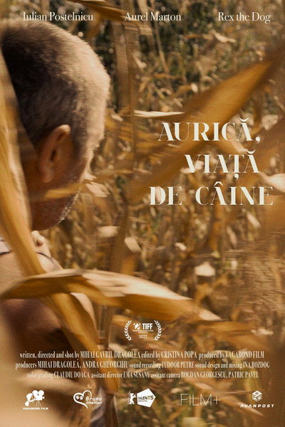 Póster de Aurica, a dog's life