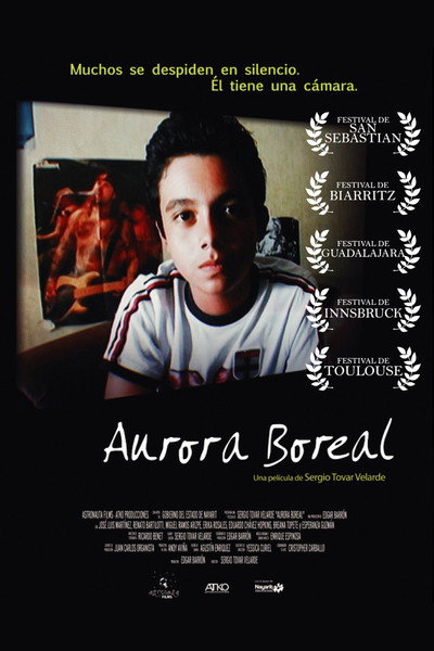 Póster de Aurora boreal