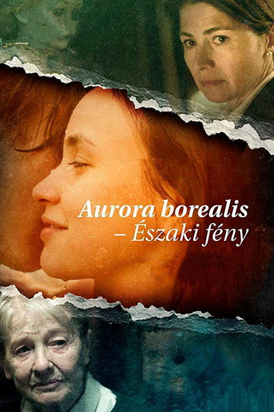 Póster de Aurora Borealis: Northern Light