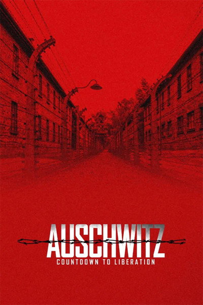 Póster de Auschwitz: Countdown to Liberation