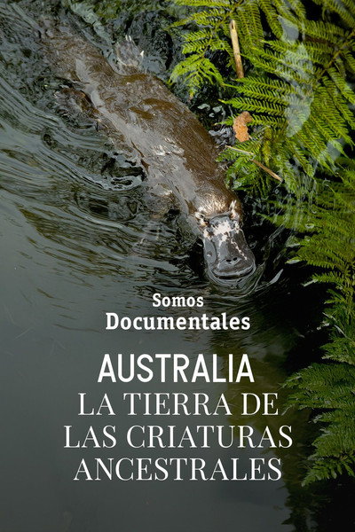 Póster de Australia's Land of the Ancients