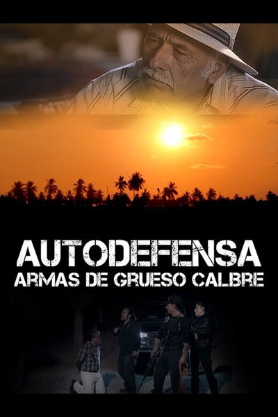 Póster de Autodefensa: Armas de Grueso Calibre