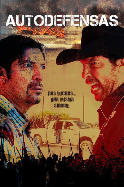 Póster de Autodefensas