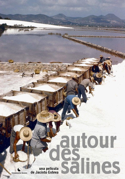 Póster de Autour des salines