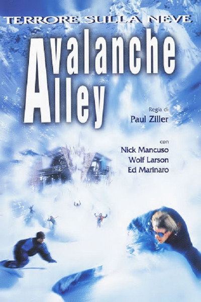 Póster de Avalancha