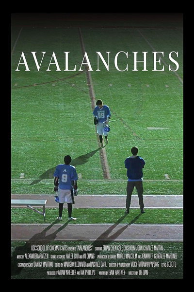 Póster de Avalanches