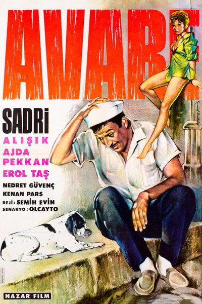 Póster de Avare