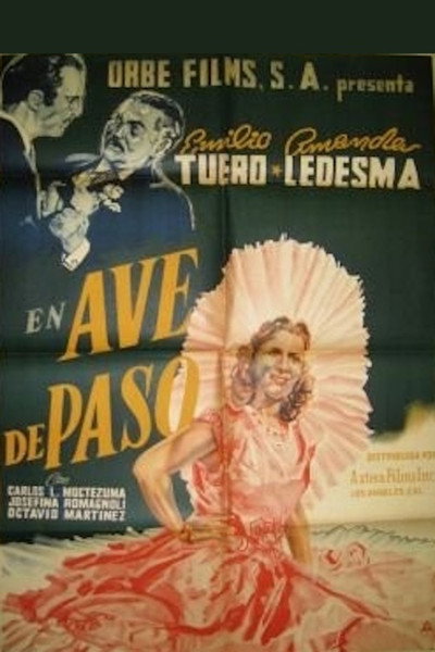 Póster de Ave de paso