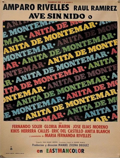 Póster de Ave sin nido