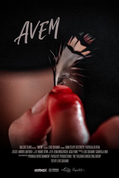 Póster de Avem