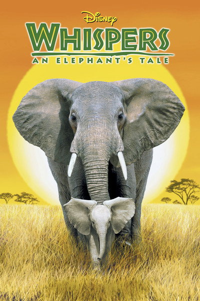 Póster de Aventura elefantástica