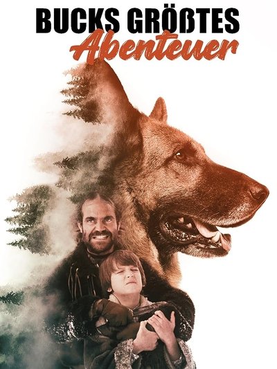 Póster de Aventuras de Tim y Buck