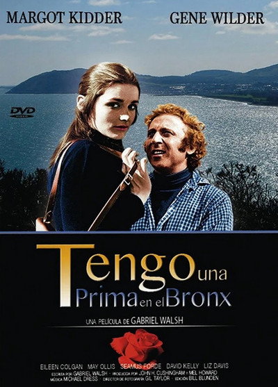 Póster de Aventuras en el Bronx