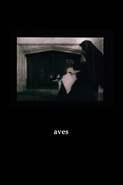Póster de Aves