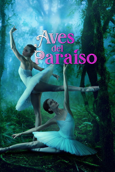Póster de Aves del paraíso