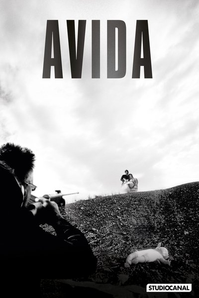 Póster de Avida