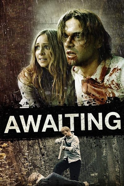 Póster de Awaiting