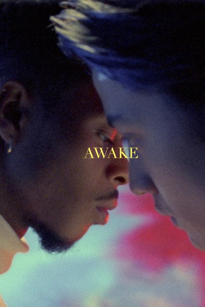 Póster de Awake