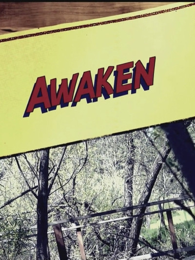 Póster de Awaken