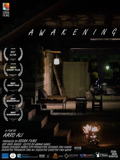Póster de Awakening